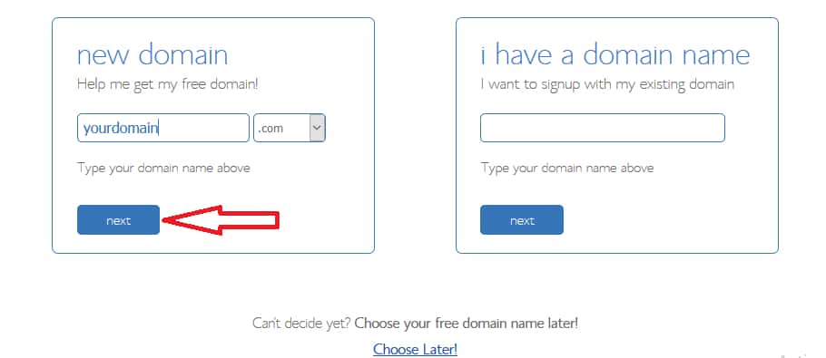 Choose Domain Name From Bluehost